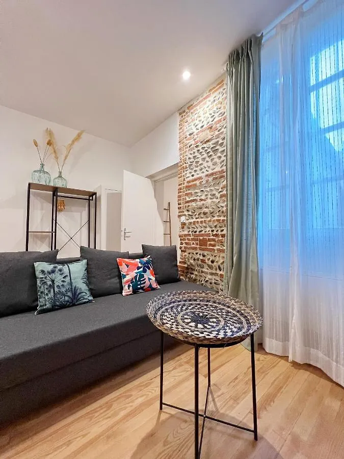 Le Botanique * Hypercentre * Netflix Apartment Toulouse